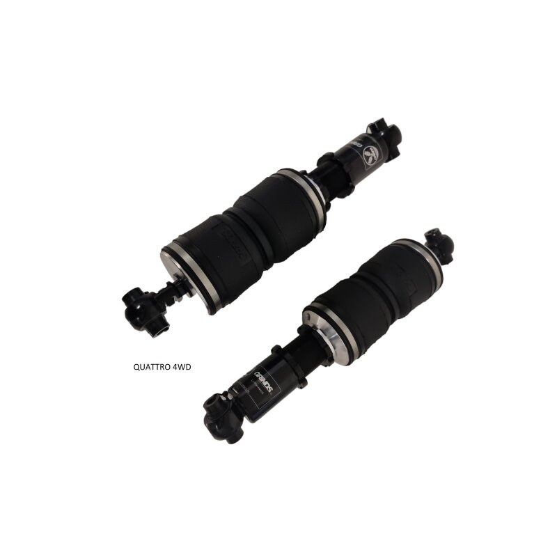 Grinds Luftunderstell Audi A4/S4/RS4 B5 (1994-2001)