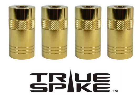 Tuner Style Hel