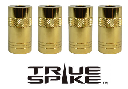 Tuner Style Hel